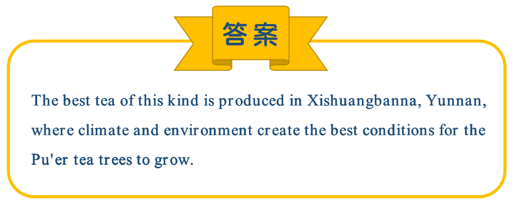 一招快速突破翻译题